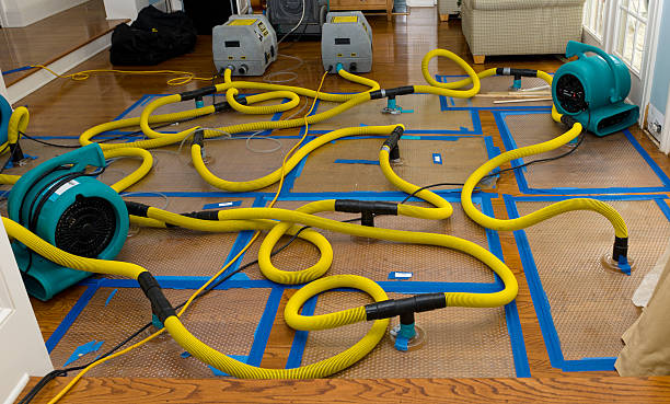Professional Sewage Cleanup technician working in Columbus, WI